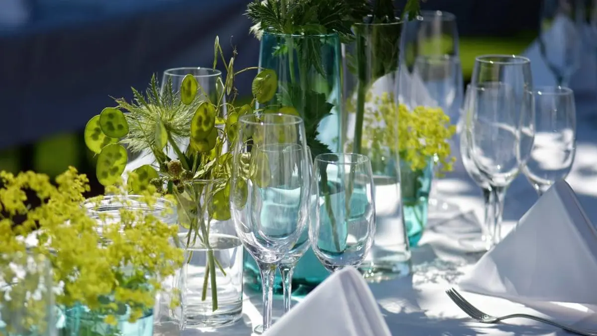 Gode innslag til sommerfesten||Francois Sibbald||Francois_El_Safadi Cropped||zahid_ali Cropped
