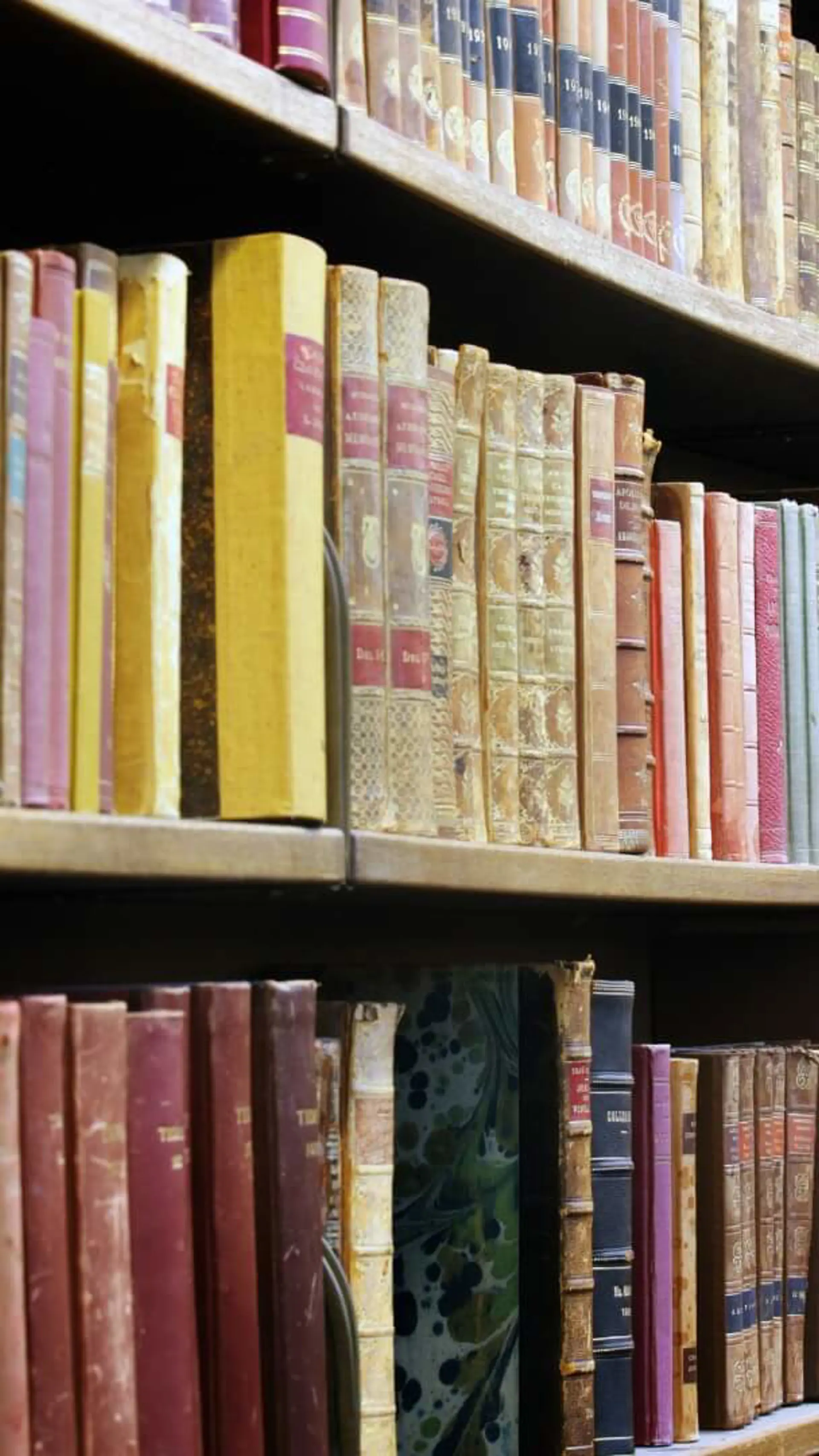 Biblioteket