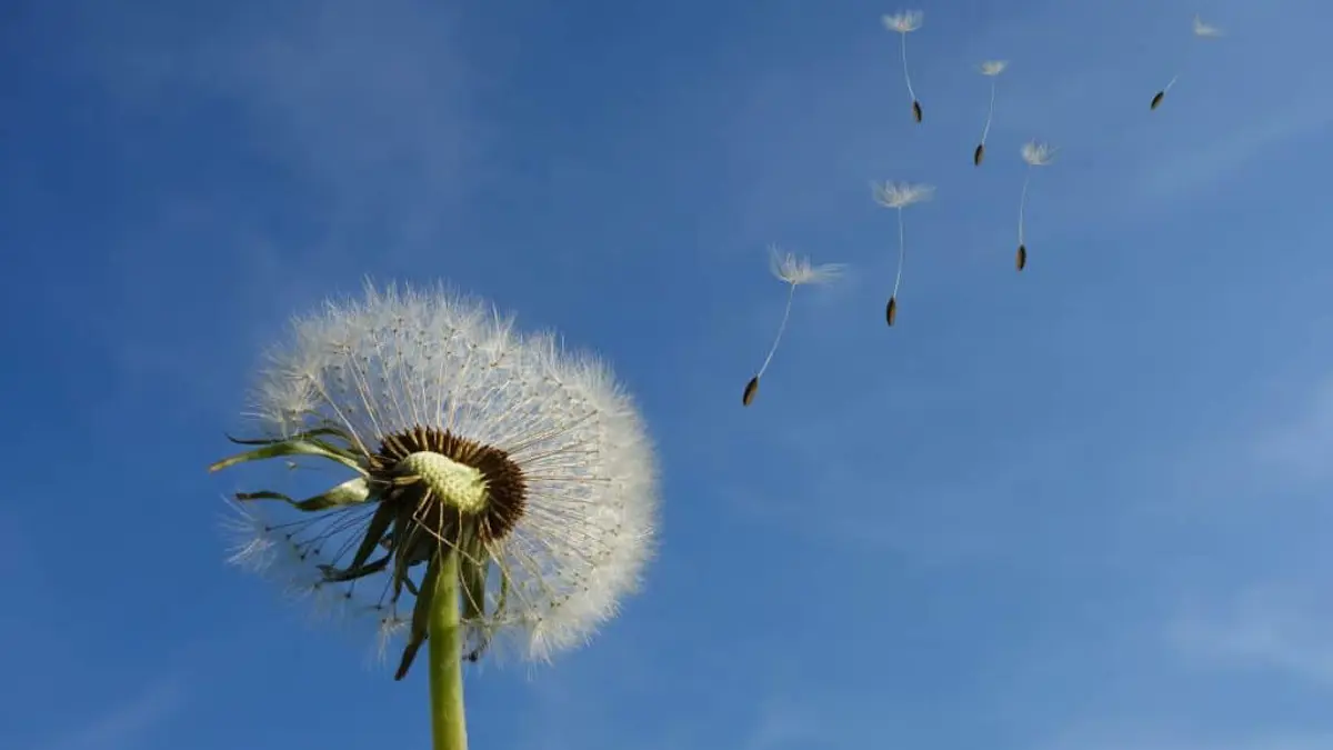 5 tips for en god flyt under arrangementet ditt