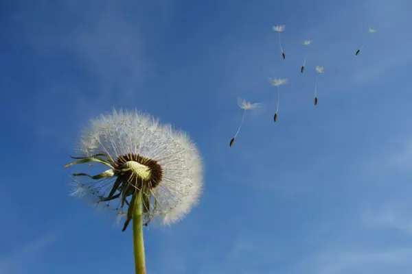 5 tips for en god flyt under arrangementet ditt