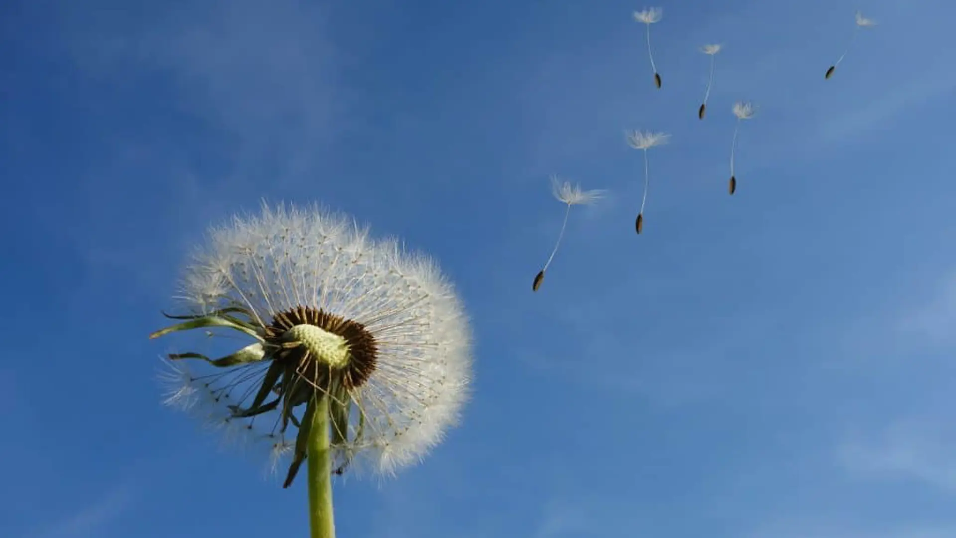 5 tips for en god flyt under arrangementet ditt