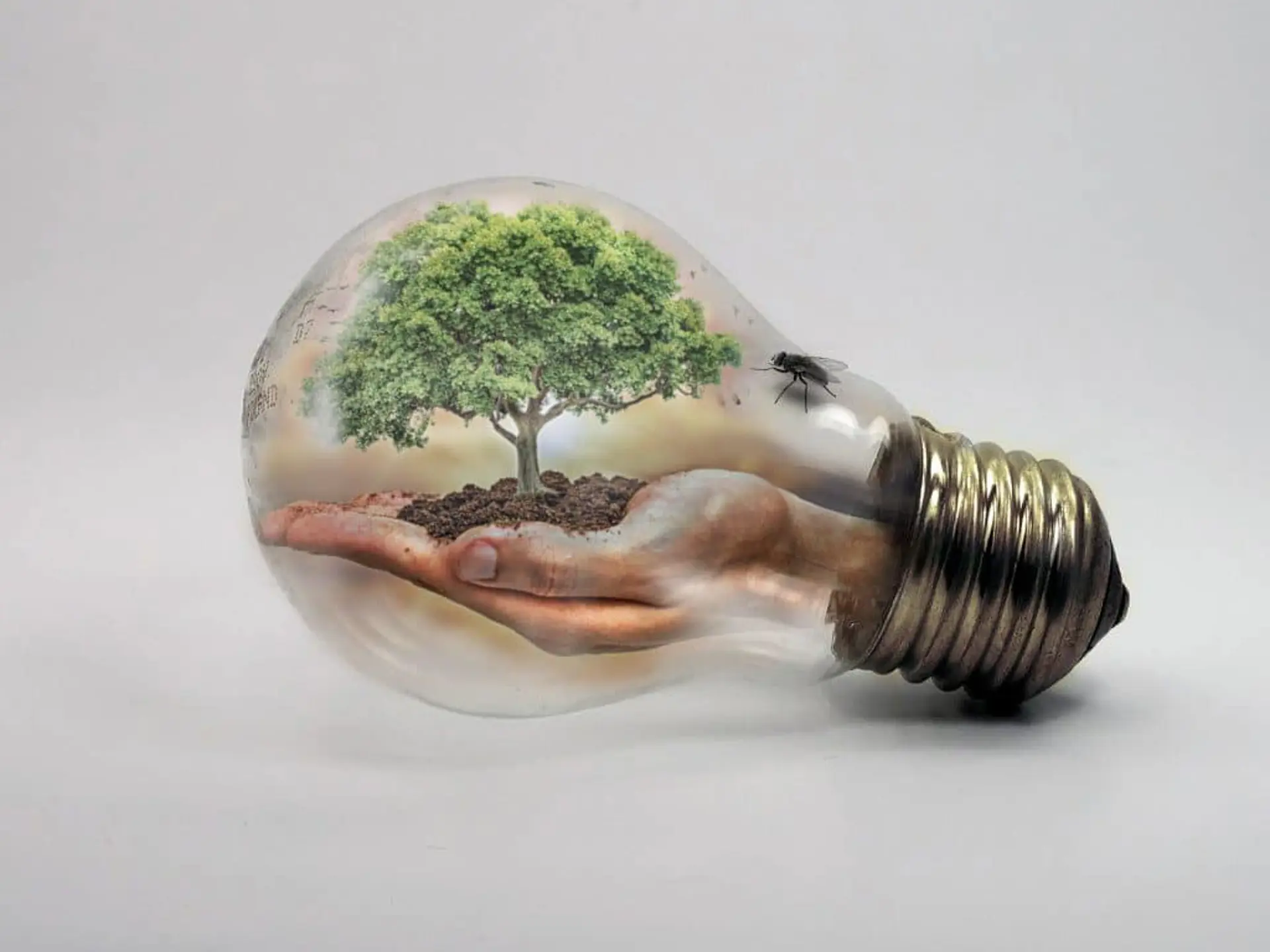 Tenk grønt: Foredrag om miljø og klima||Tenk grønt: Foredrag om miljø og klima||Tenk grønt: Foredrag om miljø og klima||Børge Ousland||Tone Bekkestad Cropped (1)